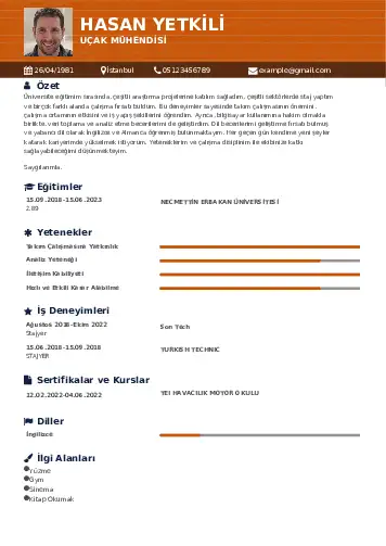 Havacılık Ve Uzay Uçak Mühendisi Cv Örnekleri cv indir